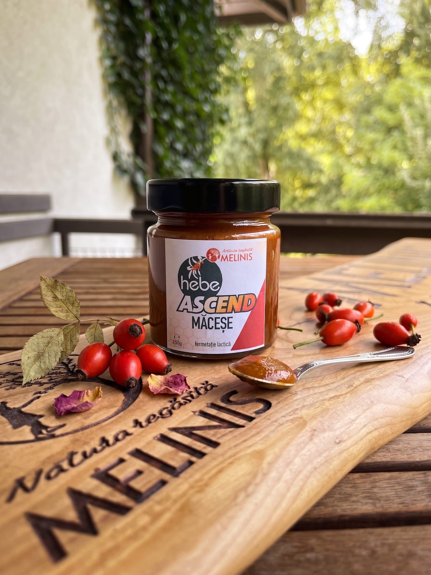 Cătină Lactic Ascend – Miere cu Cătină Fermentată Lactic, Ecologică