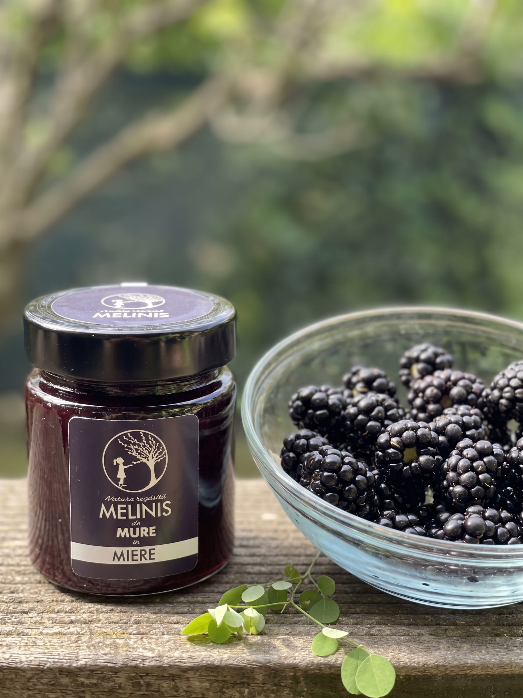Melinis cu Mure – Miere de Salcâm cu Mure Crude, Artizanal, 250 gr