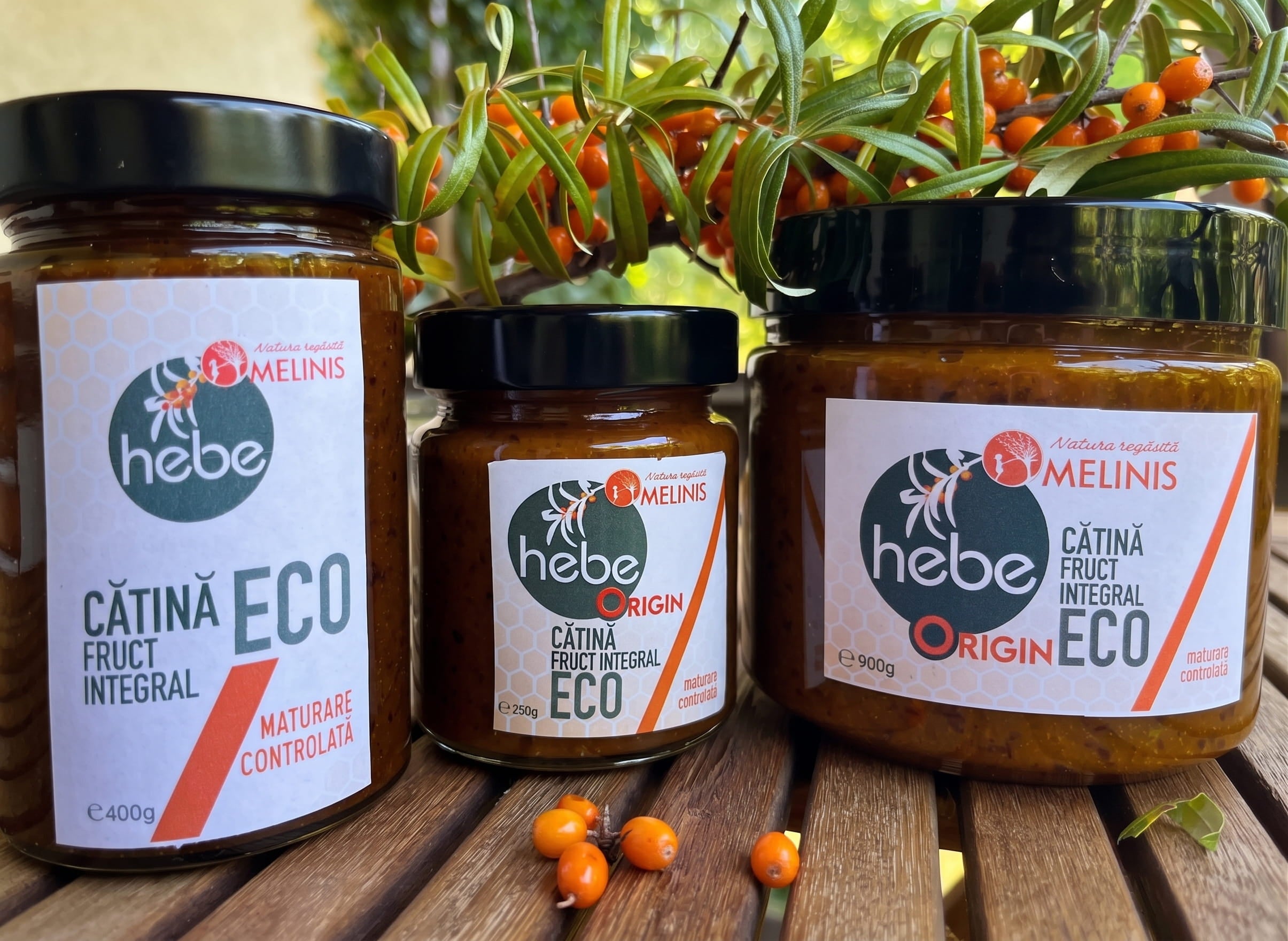Cătină Hebe ORIGIN – Miere cu Cătină Fermentată Alcoolic, Ecologică