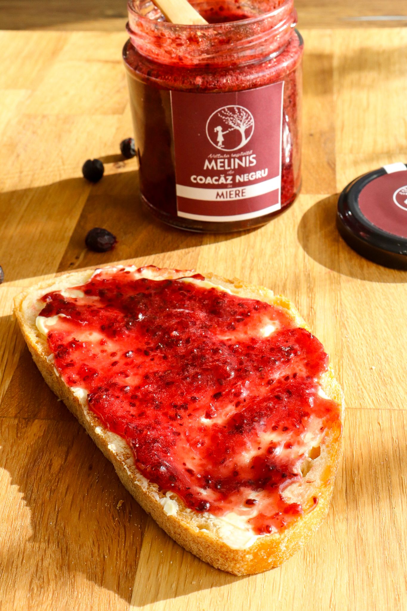 Melinis cu Coacăz Negru - Miere de Salcâm cu Coacăz Negru (Ribes nigrum), 230 g