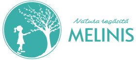 Atelierele Melinis